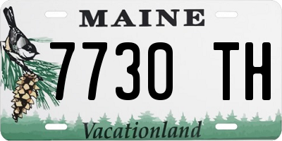 ME license plate 7730TH