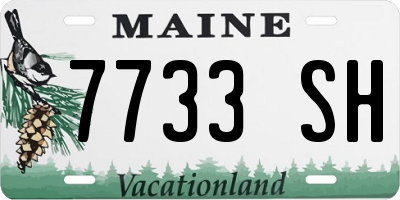 ME license plate 7733SH