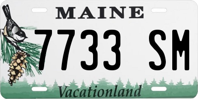 ME license plate 7733SM