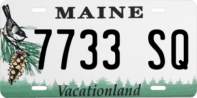 ME license plate 7733SQ