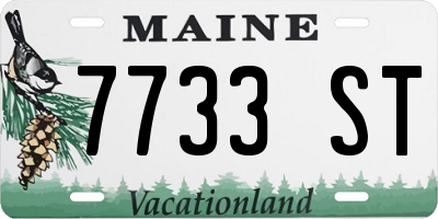 ME license plate 7733ST