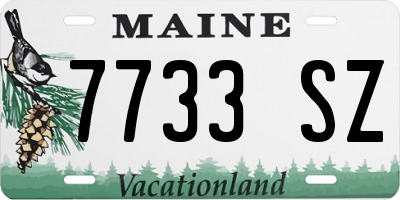 ME license plate 7733SZ
