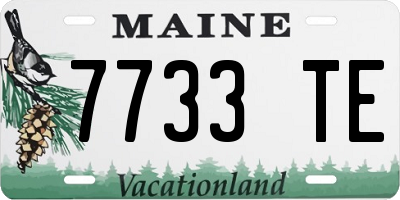 ME license plate 7733TE