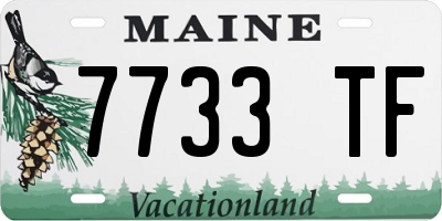 ME license plate 7733TF
