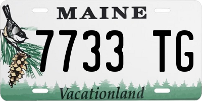 ME license plate 7733TG