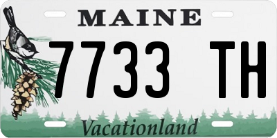 ME license plate 7733TH