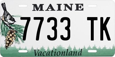 ME license plate 7733TK