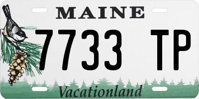 ME license plate 7733TP