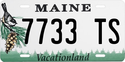 ME license plate 7733TS