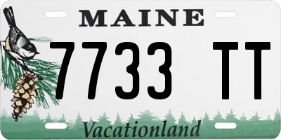 ME license plate 7733TT