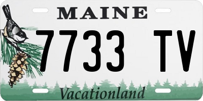 ME license plate 7733TV