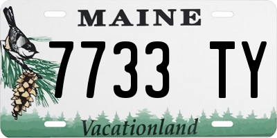 ME license plate 7733TY