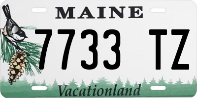 ME license plate 7733TZ