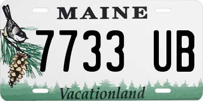 ME license plate 7733UB