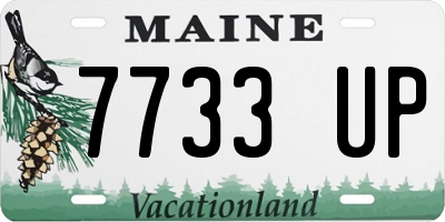 ME license plate 7733UP