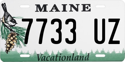 ME license plate 7733UZ
