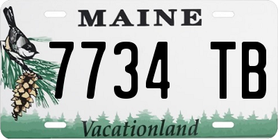 ME license plate 7734TB