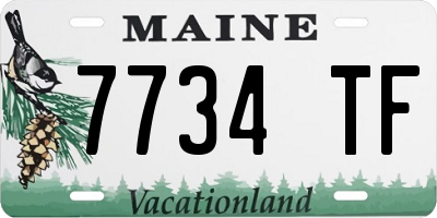 ME license plate 7734TF