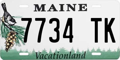 ME license plate 7734TK