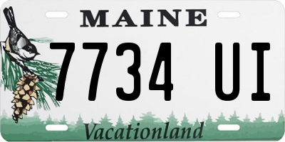 ME license plate 7734UI