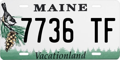 ME license plate 7736TF