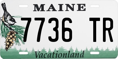 ME license plate 7736TR