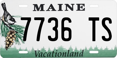 ME license plate 7736TS