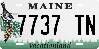 ME license plate 7737TN
