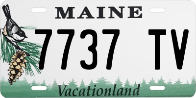 ME license plate 7737TV