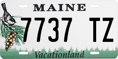 ME license plate 7737TZ
