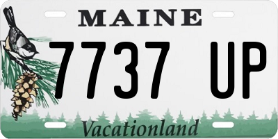 ME license plate 7737UP