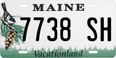 ME license plate 7738SH