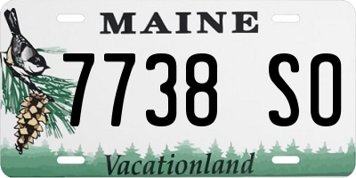 ME license plate 7738SO