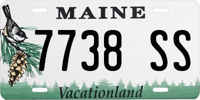 ME license plate 7738SS