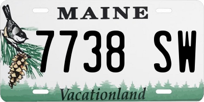 ME license plate 7738SW