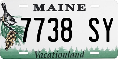 ME license plate 7738SY