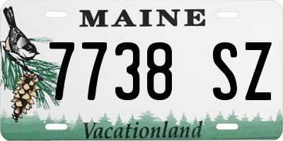 ME license plate 7738SZ