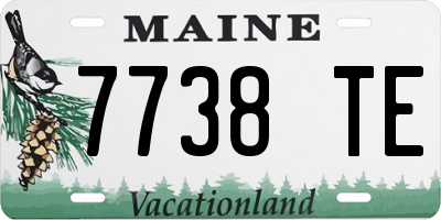 ME license plate 7738TE