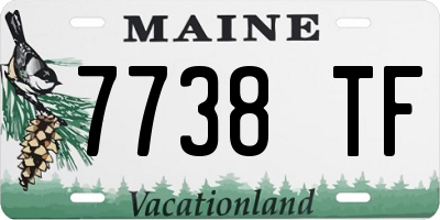 ME license plate 7738TF