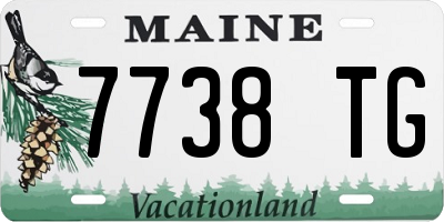 ME license plate 7738TG