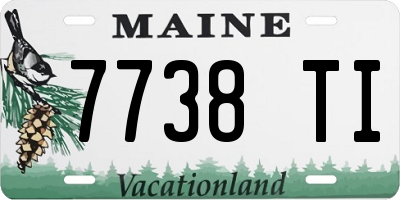 ME license plate 7738TI