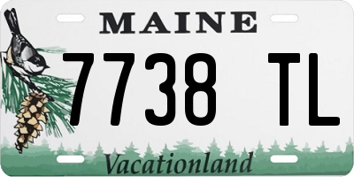 ME license plate 7738TL