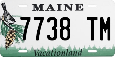 ME license plate 7738TM