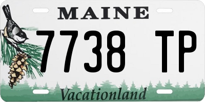 ME license plate 7738TP