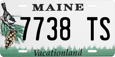 ME license plate 7738TS