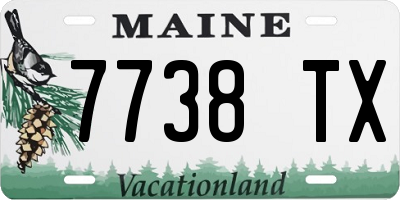 ME license plate 7738TX
