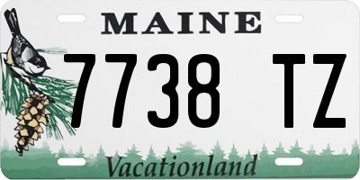 ME license plate 7738TZ