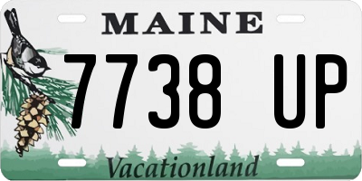ME license plate 7738UP