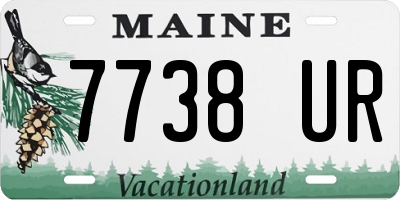 ME license plate 7738UR