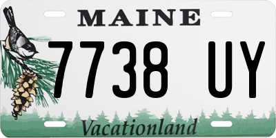 ME license plate 7738UY